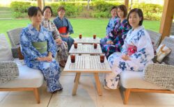 新宿で着付けを習いたい方へ|初心者が教室を選ぶときのポイント
